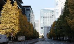 Featured image of post 2023東京