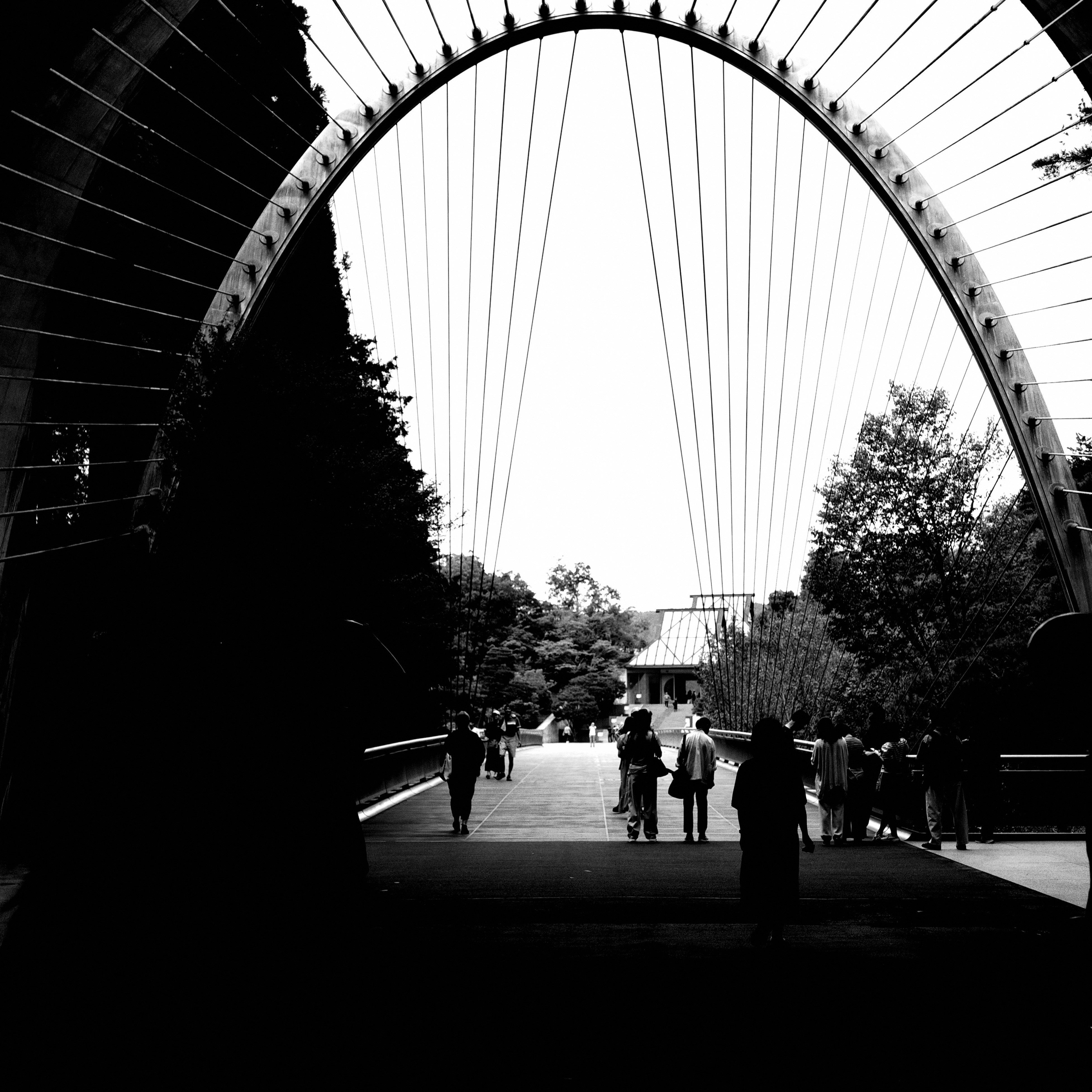 MIHO MUSEUM