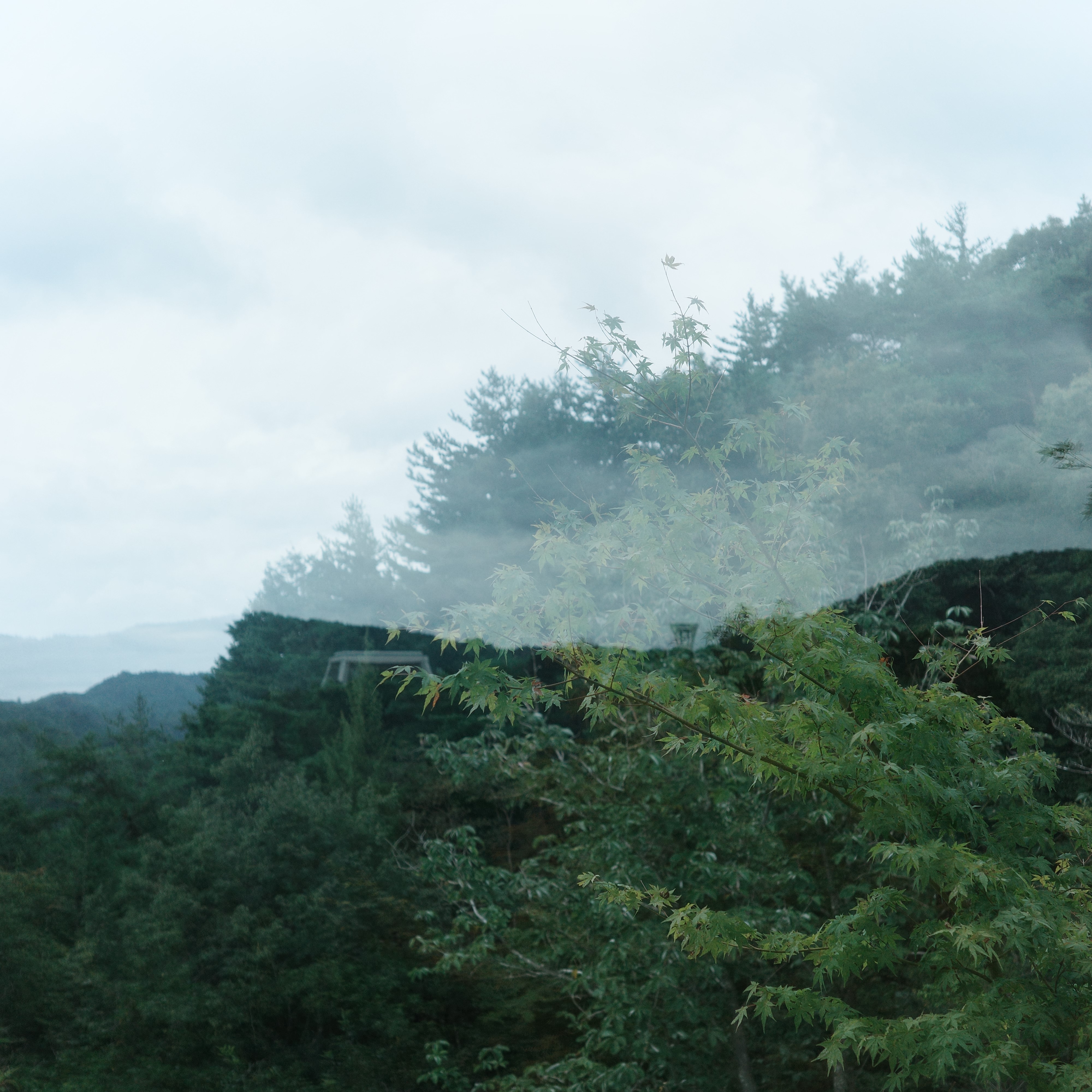 MIHO MUSEUM