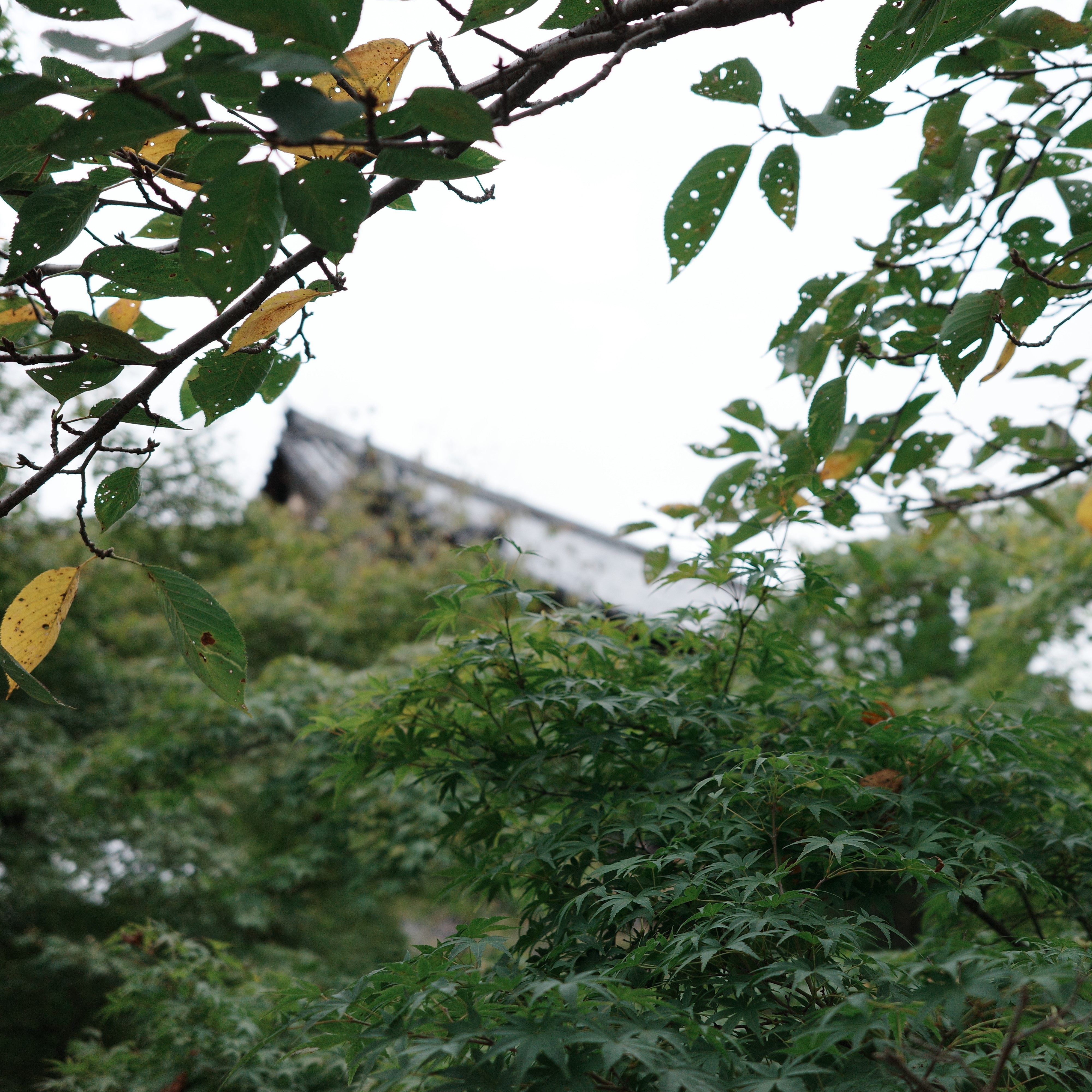 南禅寺