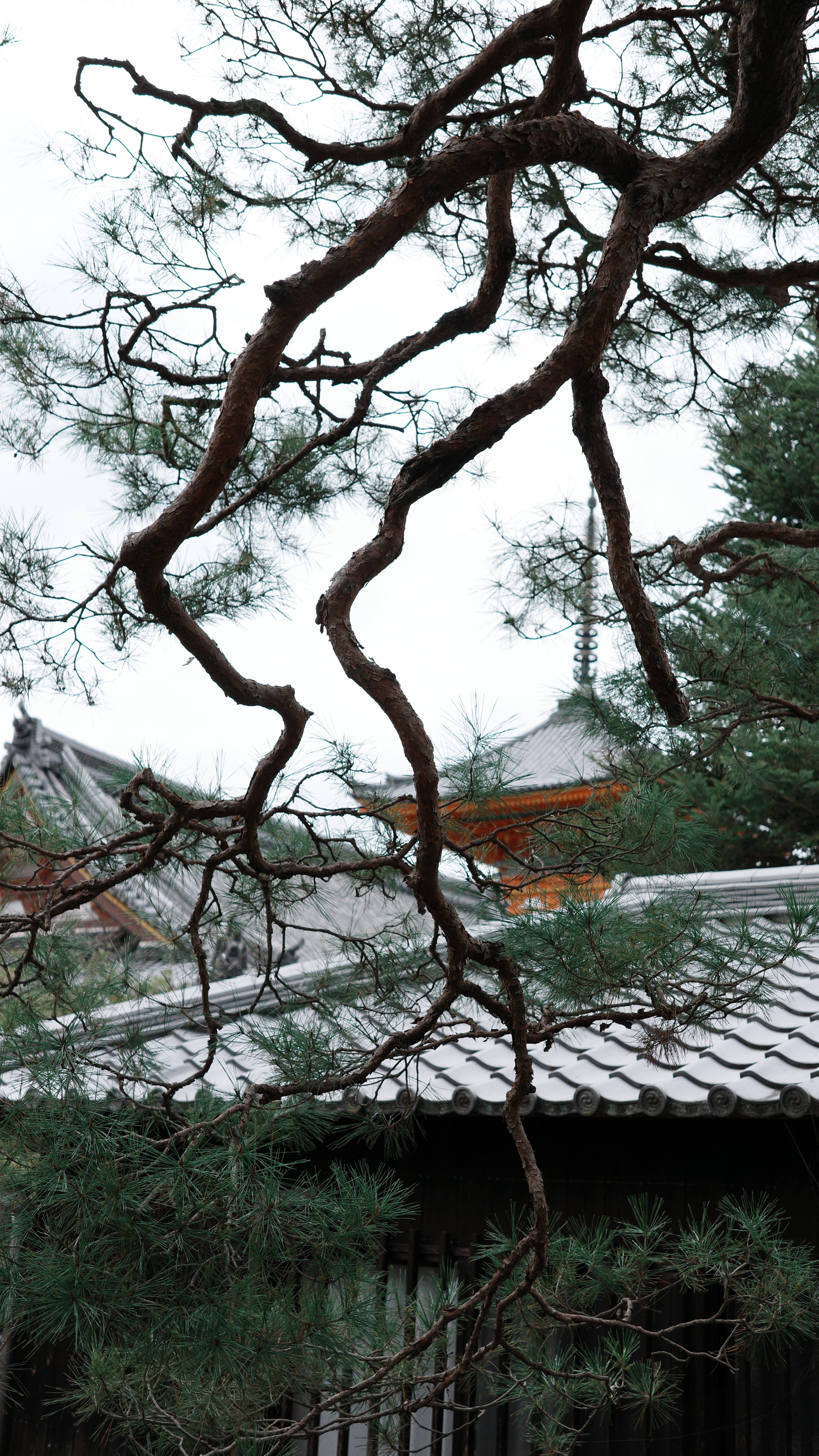 清水寺
