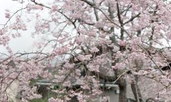 Featured image of post 2026福岡